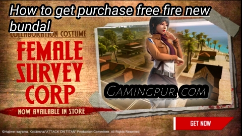 How to purchase survey corps female bundal ?