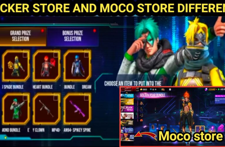 DIFFERENCE BETWEEN HACKER STORE AND MOCO STORE