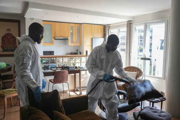 Defeating the Bedbugs in Paris , A Nightmare: 7 Effective Tips to Protect Yourself from Infestations